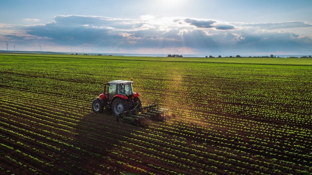 ВЛАДАТА СО ФИНАНСИСКА ПОДДРШКА ЗА ЗЕМЈОДЕЛЦИТЕ: на располагање до 600.000 денари