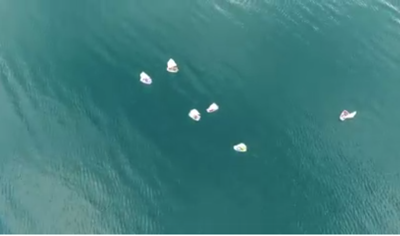 ЗАЕДНО ЗА ИДНИНАТА НА ЕЗЕРОТО Ден на Охридското Езеро