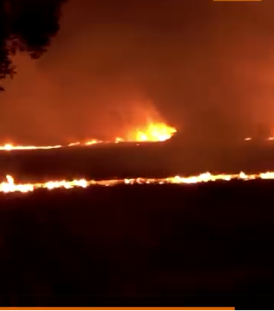 ТИНЕЈЏЕР СО ПРСКАЛКА ПРЕДИЗВИКАЛ ПОЖАР ВО СВЕТИ НИКОЛЕ – Зафатено државно земјиште, нема повредени