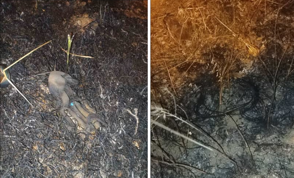 ПОЖАРОТ КАЈ СМИЛКОВСКО ПОДМЕТНАТ? Институциите со докази, градоначалниците со обвинувања