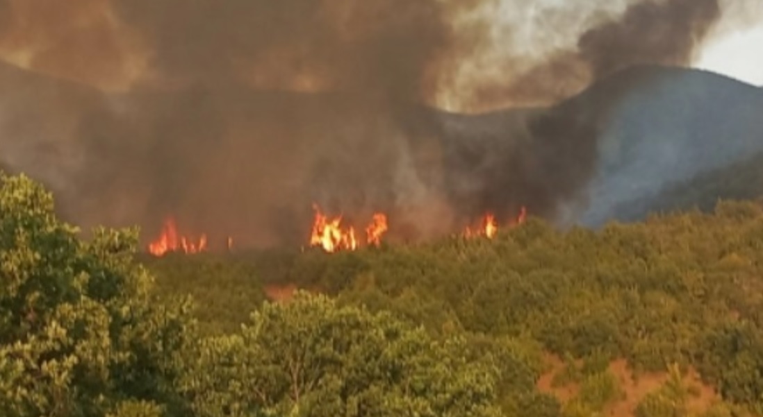 РЕГИСТРИРАНИ 15 ПОЖАРИ НА ОТВОРЕНО – 7 сè уште активни