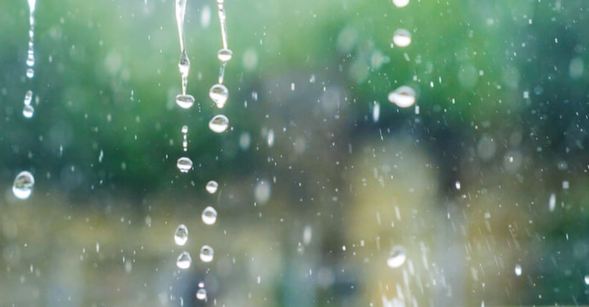 ДЕНЕС ОБЛАЧНО СО ВРНЕЖИ ОД ДОЖД Пообилни на југот со над 40 литри на метар квадратен