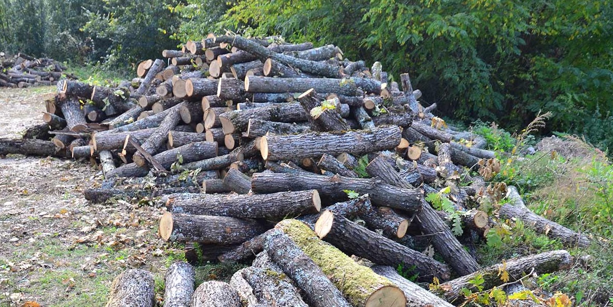 КУМАНОВЦИ СО КАМИОН ПОЛН ДРВА СЕ ОБИДЕЛЕ ДА ПРЕГАЗАТ ПОЛИЦАЈЦИ – Приведени по вооружена полициска интервенција