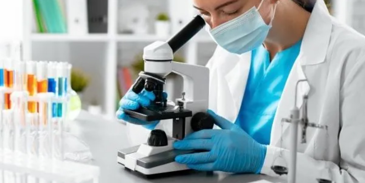 НОВА НАДЕЖ ВО БОРБАТА ПРОТИВ АЛЦХАЈМЕР – Откриена непозната клеточна органела