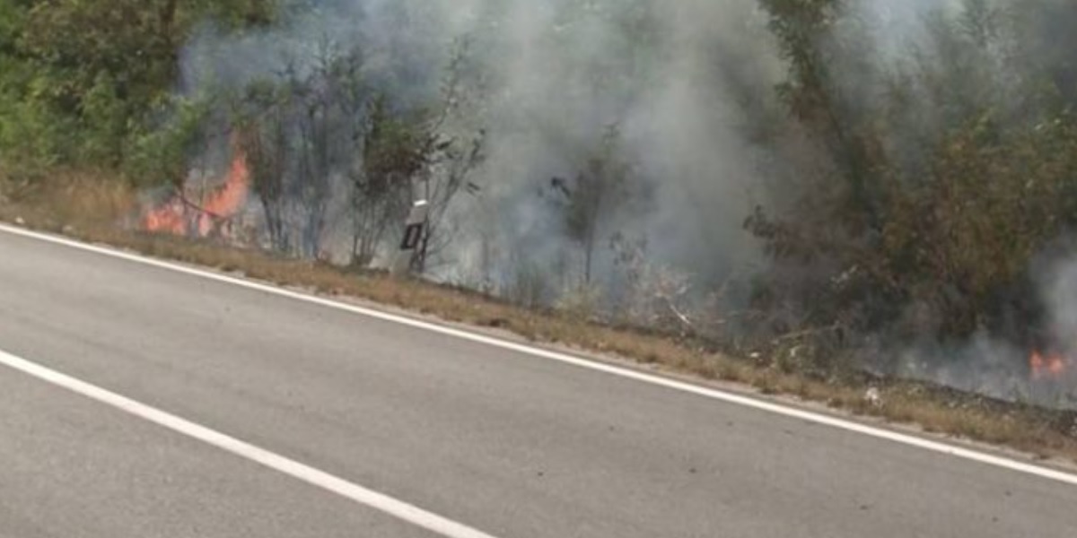 ПОЖАРИТЕ ЗАПРЕА Од денес повторно отворен патот Нова Брезница – Македонски Брод преку НП „Јасен“