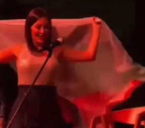 ОД ЉУБОВ ДО СВИРЕЖИ Цеца и бугарското знаме што ја разгневи публиката во Велес ОД ЉУБОВ ДО СВИРЕЖИ Цеца и бугарското знаме што ја разгневи публиката во Велес