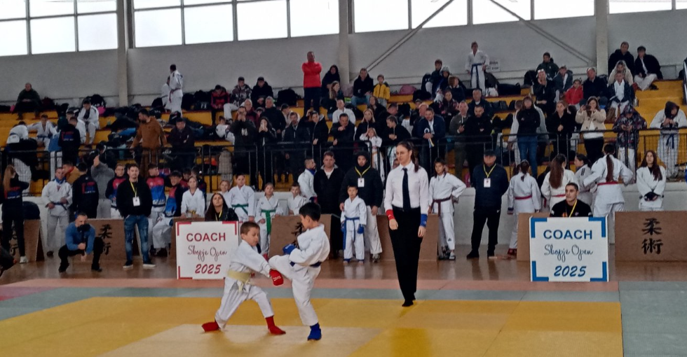 ЏИУ ЏИЦА БОРБИ – Рекорден број категории на Скопје Опен 2025