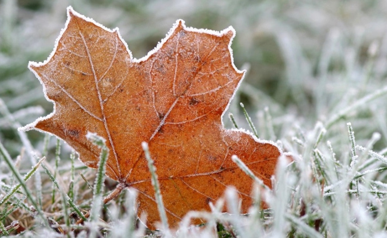 СТУДЕНО УТРО ВО МАКЕДОНИЈА Во многу градови температурата под нула