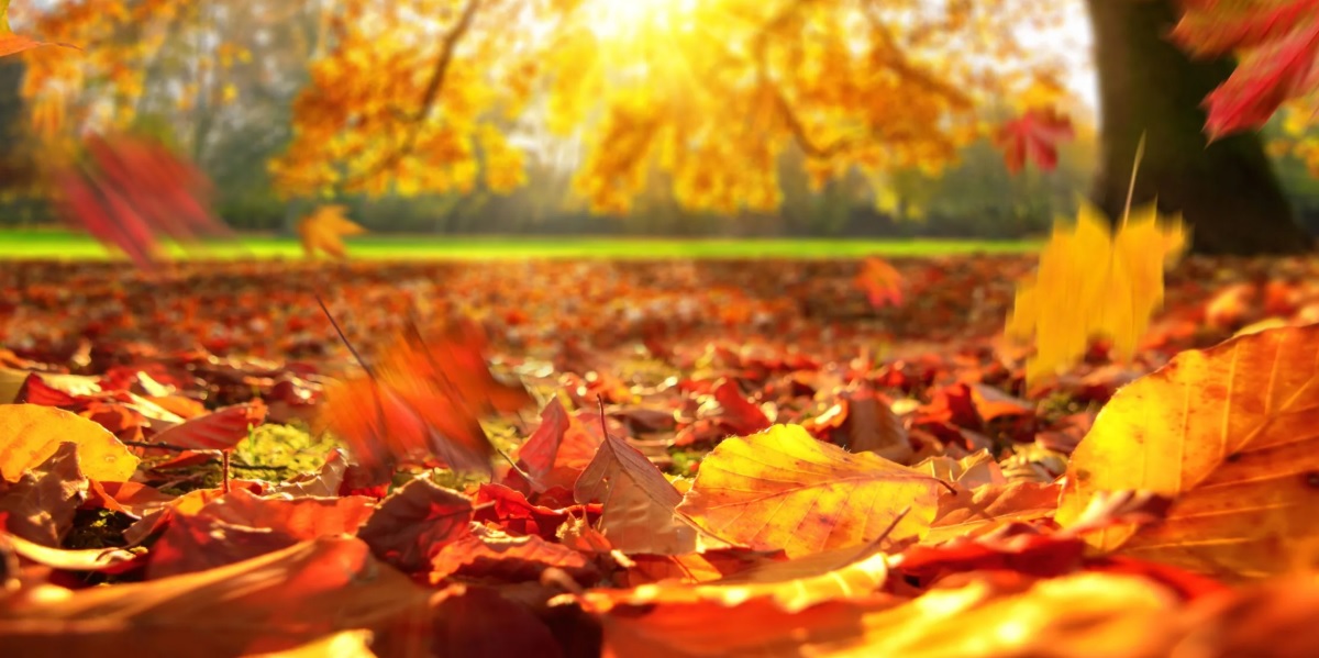 УТРОТО СТУДЕНО, ПРЕКУ ДЕН СОНЧЕВО За викендот стабилно и суво УТРОТО СТУДЕНО, ПРЕКУ ДЕН СОНЧЕВО За викендот стабилно и суво