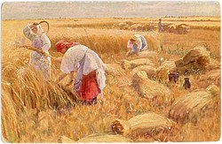 ГО ОЖНЕАЛЕ ДРЖАВНОТО ЖИТО ВО ВРЕДНОСТ ОД 800.000 ЕВРА – Осомничени поранешни високи функционери