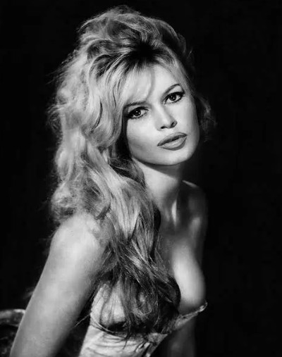 БРИЖИТ БАРДО СЕ ОТКАЖА ОД СИНОТ Милионите ги остави на фондација