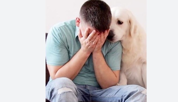 ПРИСУСТВО БЕЗ ЗБОРОВИ – Кучето знае кога си тажен