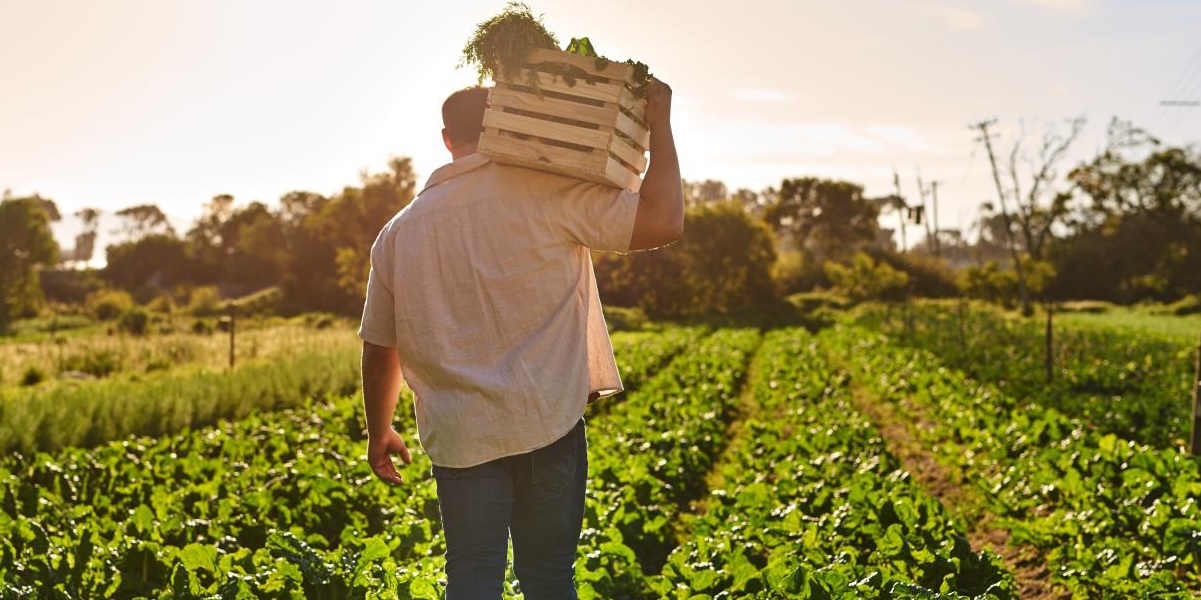 ЛЕГАЛНА СЕЗОНСКА РАБОТА Македонија воведува Закон за работно ангажирање лица