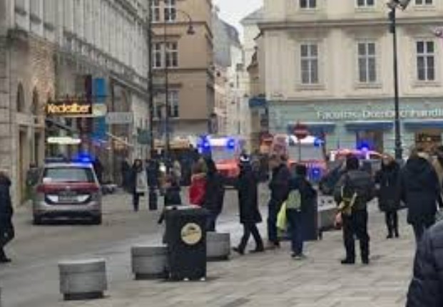 ВИЕНА СТАНУВА ГРАД НА СТРАВ Зголемен криминал од мигрантите ги загрозува граѓаните