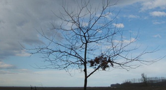 ВРЕМЕТО ДЕНЕСКА – Минусни температури и ведро време