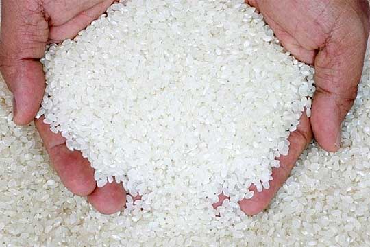 ОРИЗОПРОИЗВОДИТЕЛИТЕ ПРЕДУПРЕДУВААТ – Ако институциите не интервенираат, ќе преземеме акција