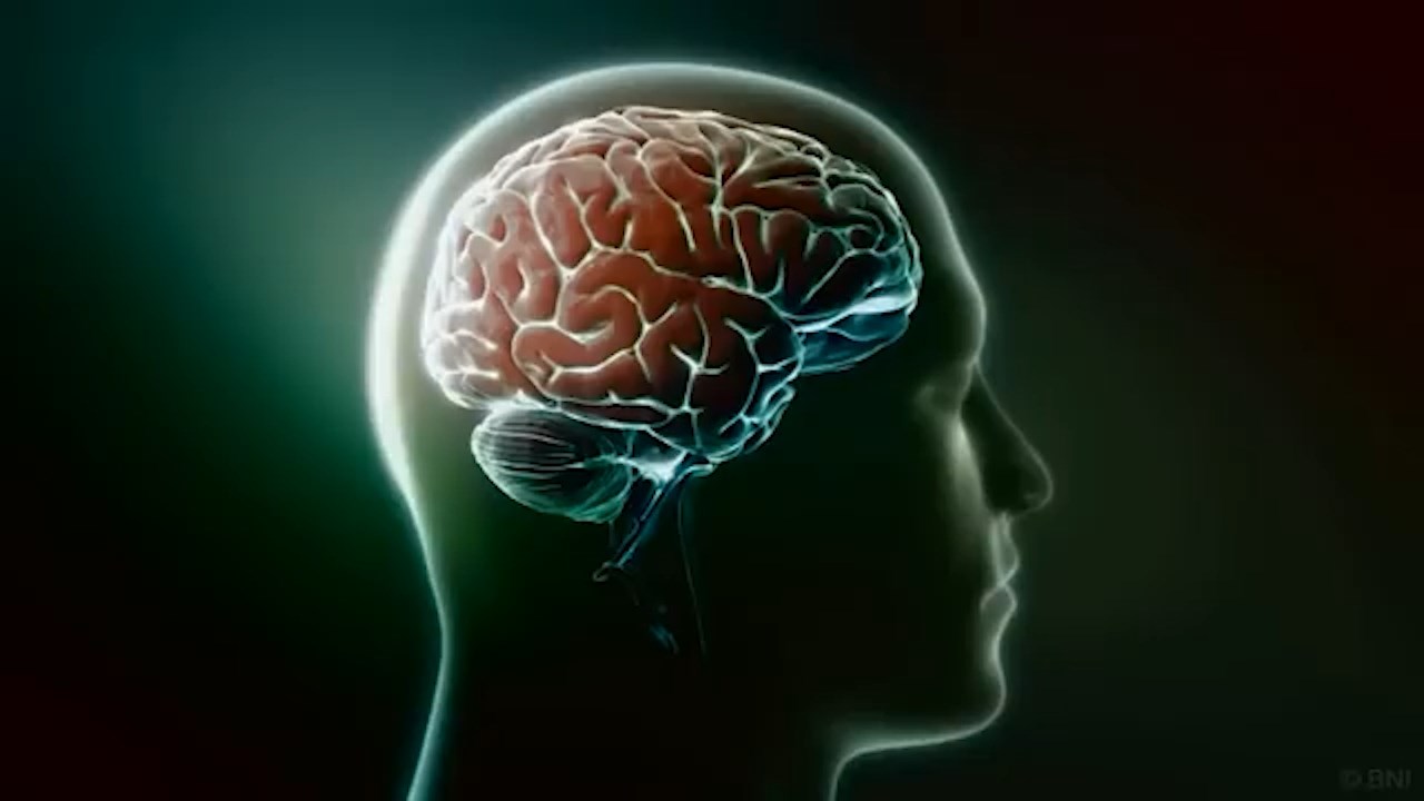 МОЗОЦИ ОД МАКЕДОНИЈА ЗА АМЕРИКА – Научен пробив или нерасчистена приказна