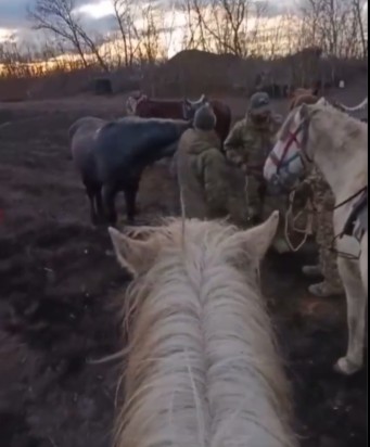(ФОТО) ИЗНЕНАДУВАЊЕ НА БОЈНОТО ПОЛЕ – Русите користат коњи и магариња за војување во Украина