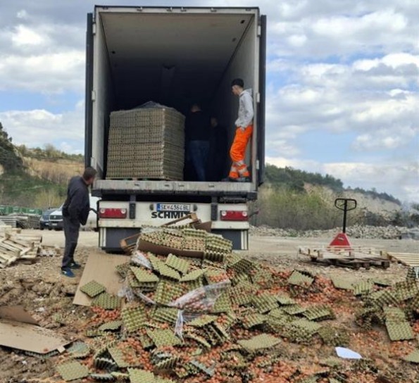 СПРЕЧЕН ОГРОМЕН РИЗИК ЗА ПОТРОШУВАЧИТЕ – 40 тони јајца од Србија откриени и уништени