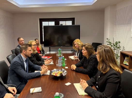 БОЖИНОВСКА И КфВ БАНКАТА – Најава на нови енергетски инвестиции