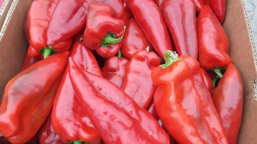 ПИПЕРКИТЕ ПО 290 ДЕНАРИ – Зошто купувањето зеленчук станува луксуз ПИПЕРКИТЕ ПО 290 ДЕНАРИ – Зошто купувањето зеленчук станува луксуз