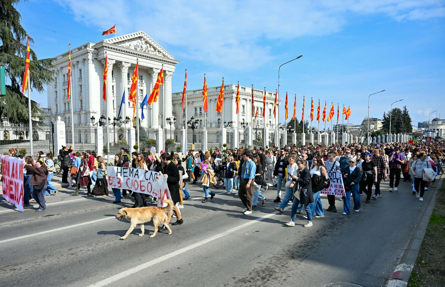 СКОПЈЕ МАРШИРАШЕ ЗА 8 МАРТ – Граѓаните бараат правда и поголема заштита за жените