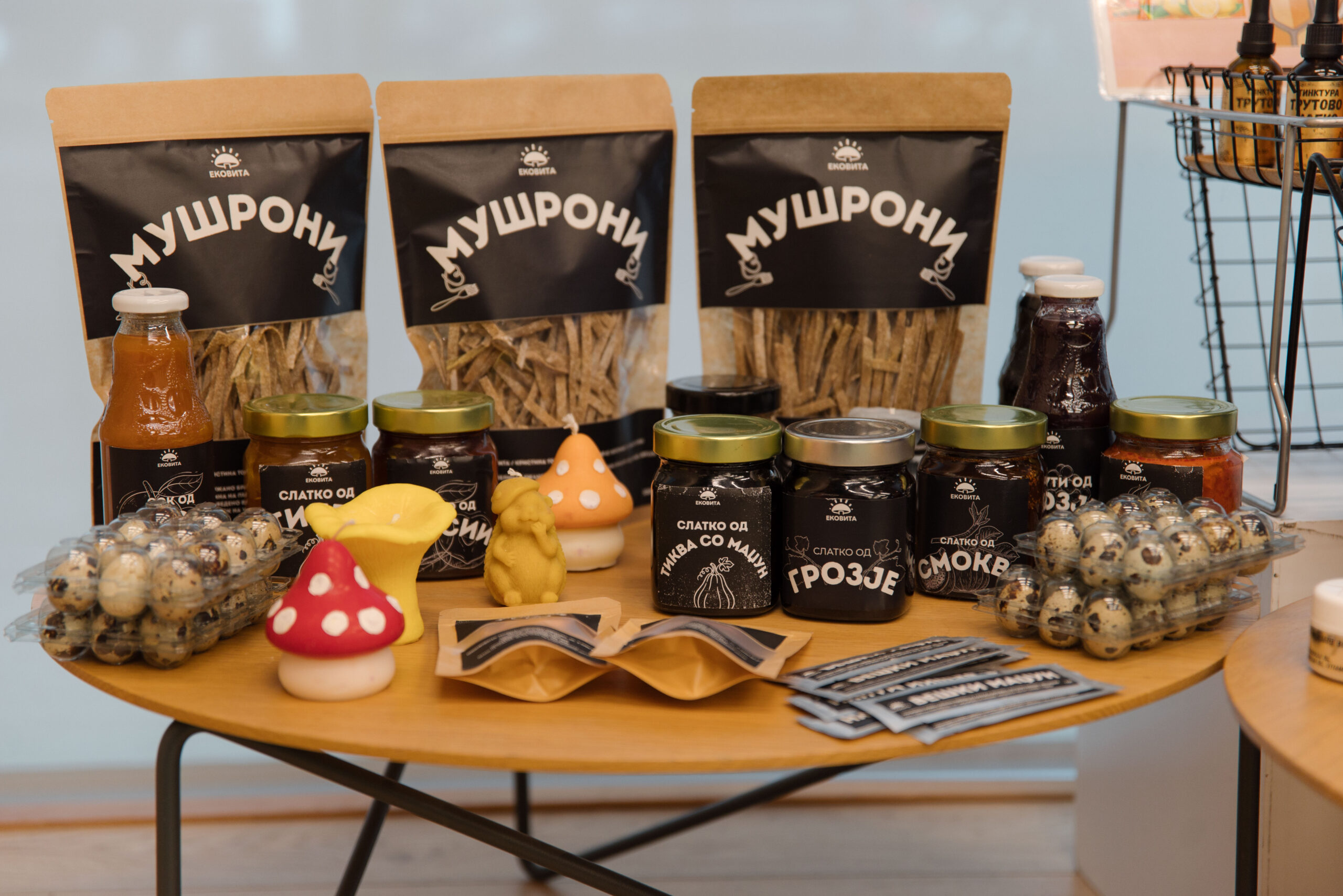 ПРЕЗЕНТИРАНИ МАКЕДОНСКИ ЗЕЛЕНИ ИНОВАЦИИ – „Трутово млеко“, филамент од отпадна пластика и тестенини од печурки