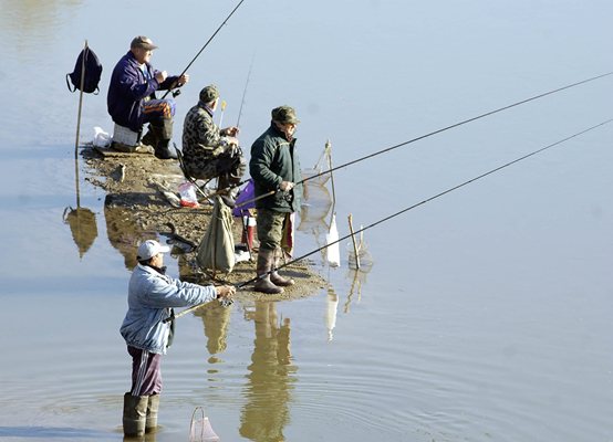 ЗАГРИЖУВАЧКИ БРОЈКИ – Од 8.503 рибари, само 70 се жени, производството на риба падна за 20% во една година