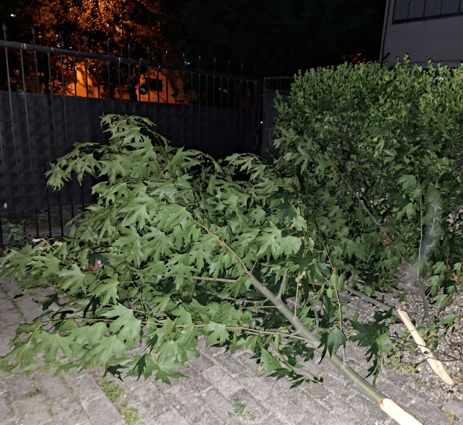 СИЛНО НЕВРЕМЕ ГО ПОГОДИ СКОПЈЕ Граѓаните објавуваат фотографии од последиците СИЛНО НЕВРЕМЕ ГО ПОГОДИ СКОПЈЕ Граѓаните објавуваат фотографии од последиците