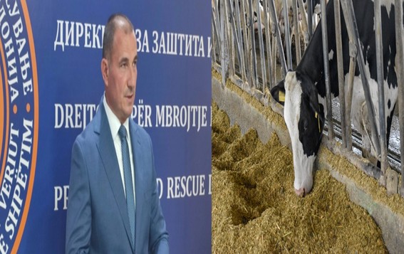 НЕМА КРАВИ – ИМА ПОЖАРИ Тоа е моја теорија, јас му ја кажав на Мицкоски