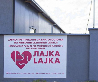 ЛАЈКА СО СИЛЕН РЕЗУЛТАТ 44 кучиња добија нов дом ЛАЈКА СО СИЛЕН РЕЗУЛТАТ 44 кучиња добија нов дом